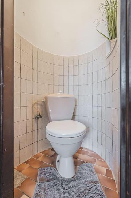 Carolina'S Romantic Apartment Hradec Králové Eksteriør billede